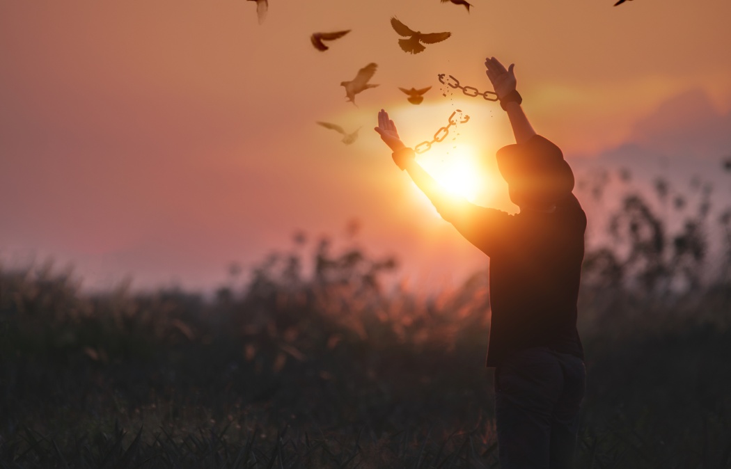A silhouette of a person with broken handcuffs raises their arms as birds fly away at sunset in a grassy field.