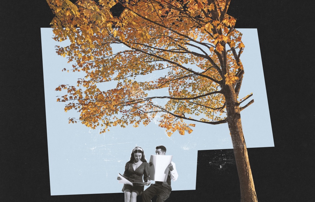 A man and woman sit reading under a tall autumn tree, with orange leaves against a backdrop of blue sky and a black border.