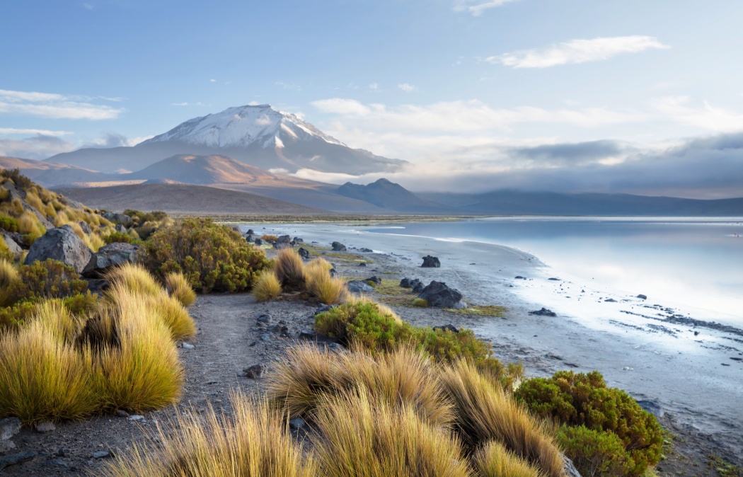 A snow-capped mountain rises in the background behind a lake, with grassy shrubs and rocks in the foreground under a partly cloudy sky.