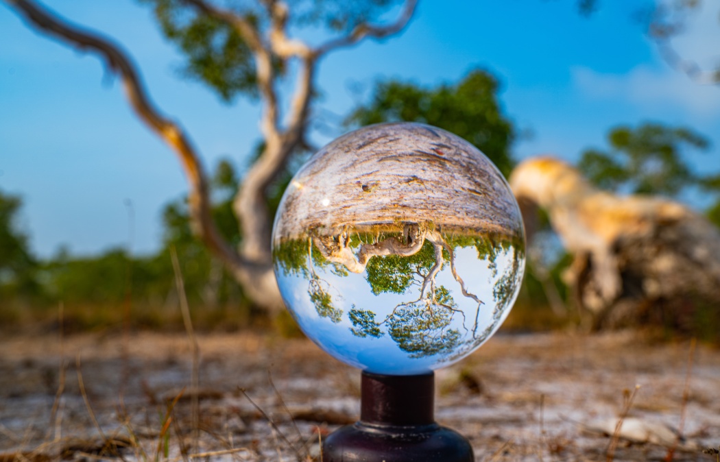 A glass sphere sits on dry ground, reflecting and inverting the image of nearby trees and the blue sky in a natural outdoor setting.