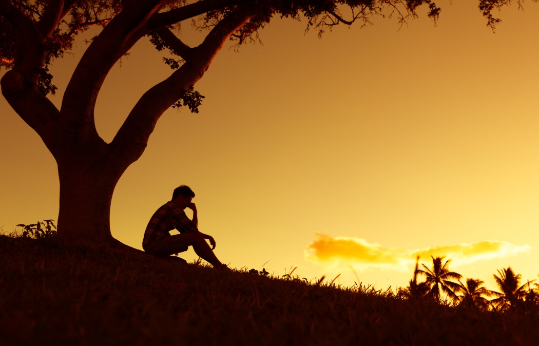 A person sits under a tree on a grassy hill at sunset, with palm trees and an orange sky in the background.