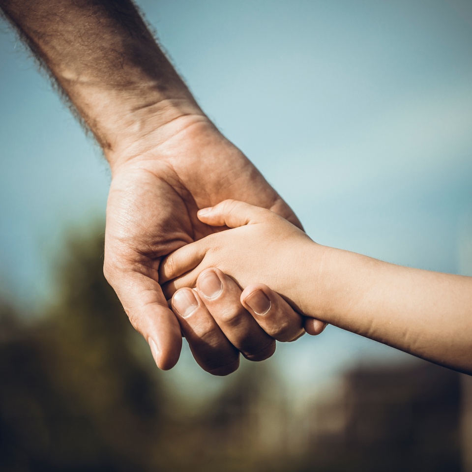 Father's hand lead his child in summer nature outdoor, trust family concept. Fathers day concept.