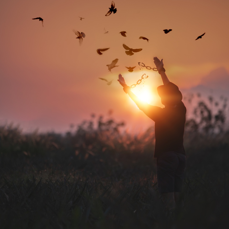 The man is breaking the chains and setting the birds free, enjoying the nature at sunrise. concept of freedom