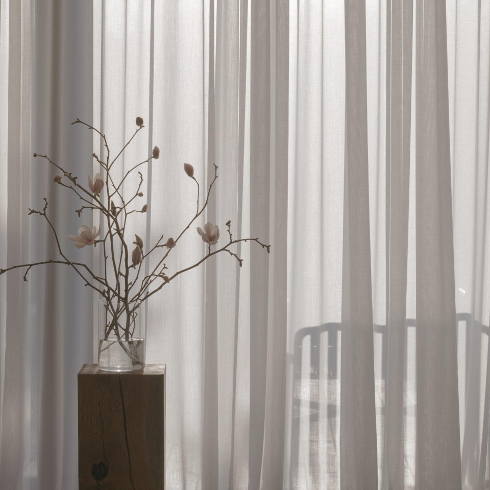 A magnolia branch in a clear glass vase rests on an oak stump, embodying spring in a Japandi interior. The soft blooms and warm wood create a serene, minimalist atmosphere.