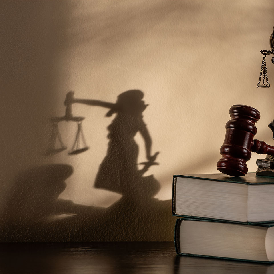 A gavel and stacked books sit on a table, casting a shadow of Lady Justice holding scales and a sword on the wall behind them.